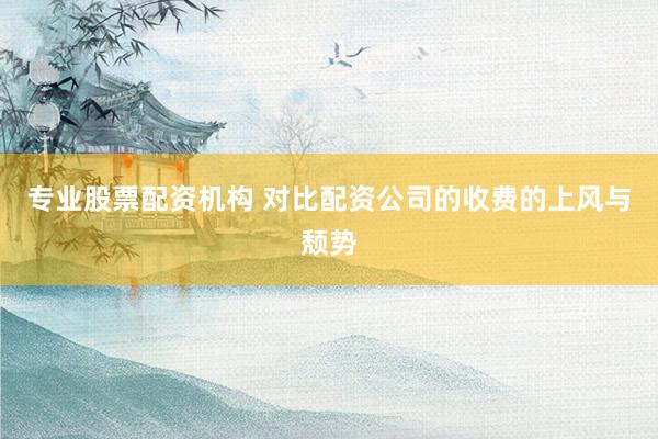 专业股票配资机构 对比配资公司的收费的上风与颓势