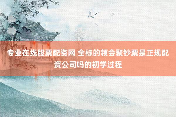 专业在线股票配资网 全标的领会聚钞票是正规配资公司吗的初学过程